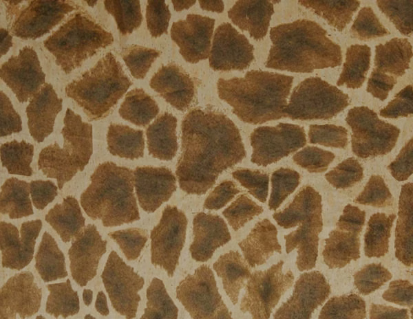 Warm brown giraffe patches on a cream ground with a softly textured surface