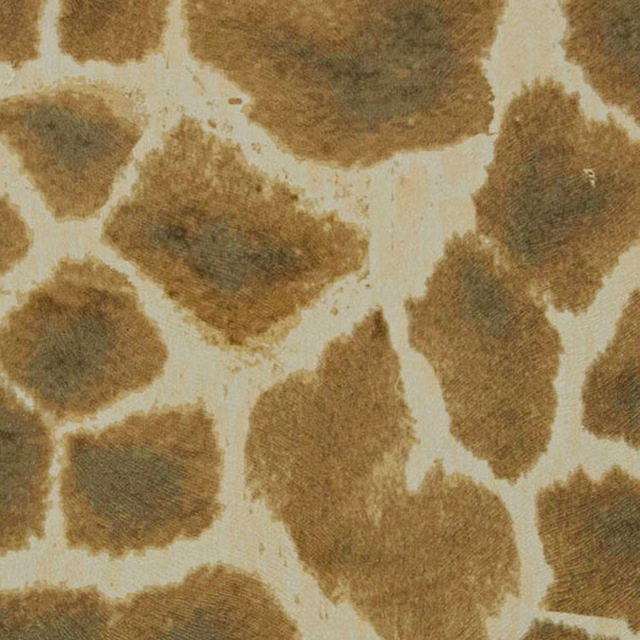 Warm camel-brown animal print with large irregular shapes and cream lines