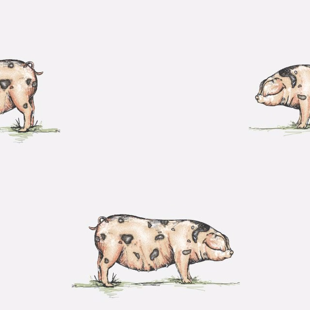 Cream fabric with three blush pigs, black outlines and tiny green grass marks