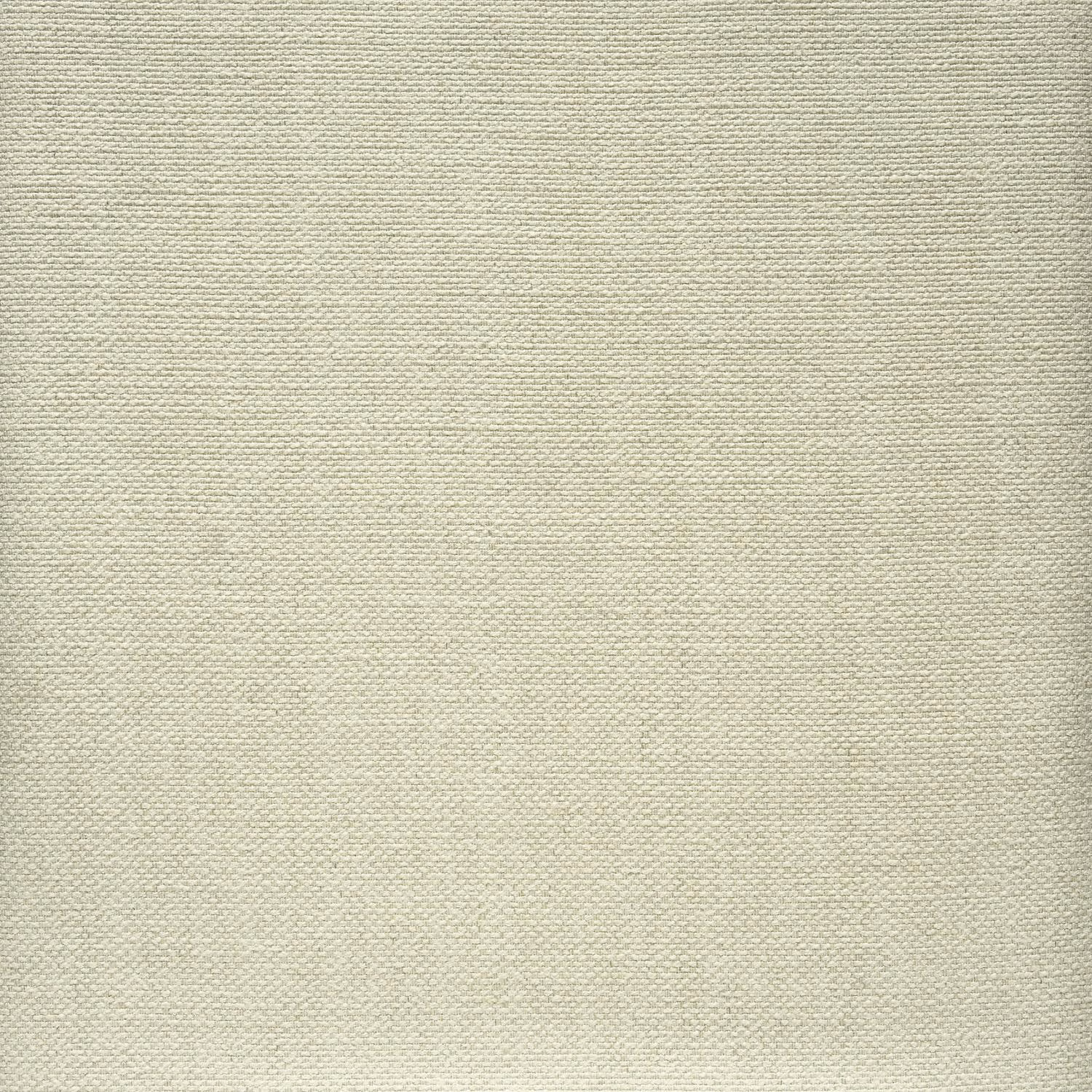 Pale greige Albermarle fabric showing a fine, closely crosswoven texture