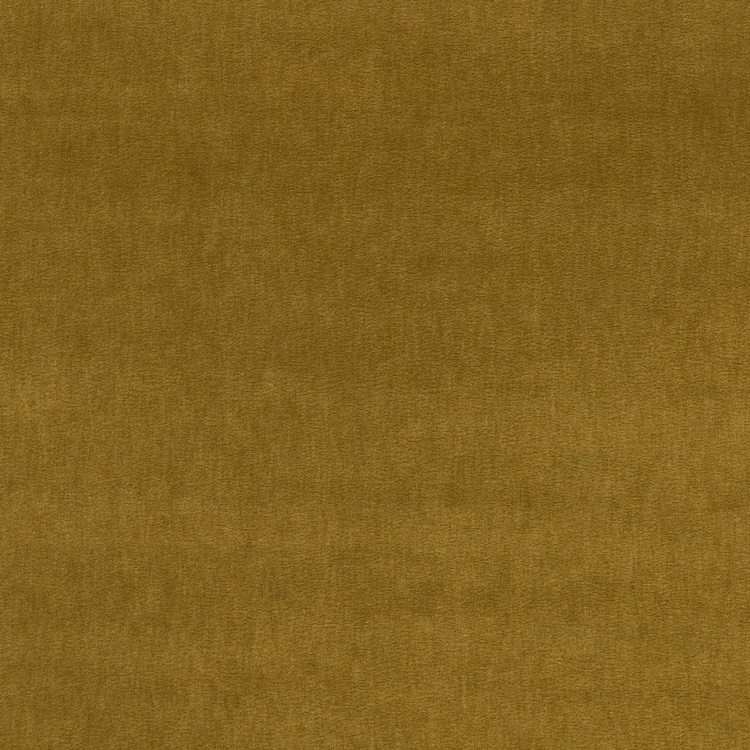Close-up of plain olive-gold velvet showing subtle directional pile and tonal shading
