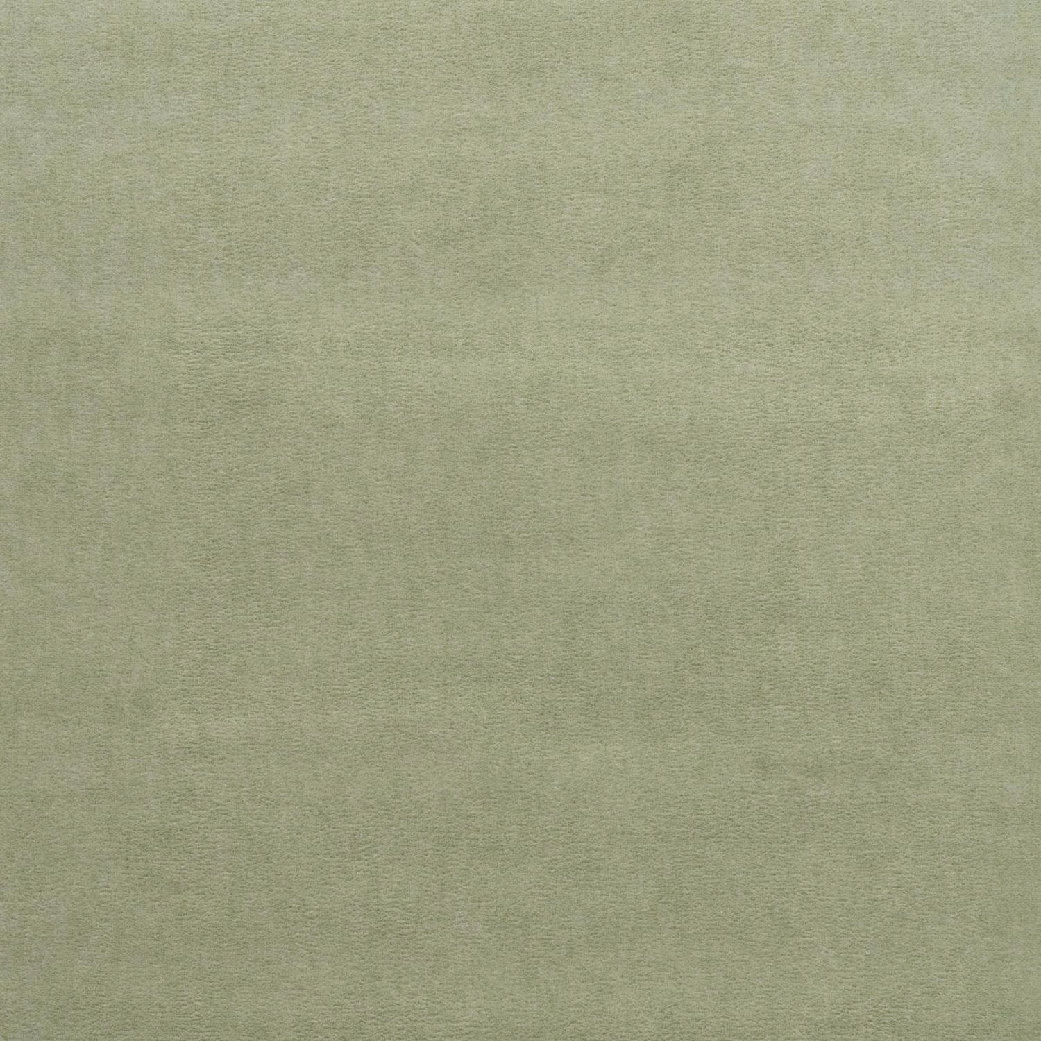 Pale greyed sage velvet with a softly brushed, subtly varied nap