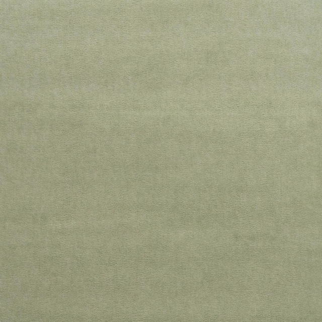 Pale greyed sage velvet with a softly brushed, subtly varied nap