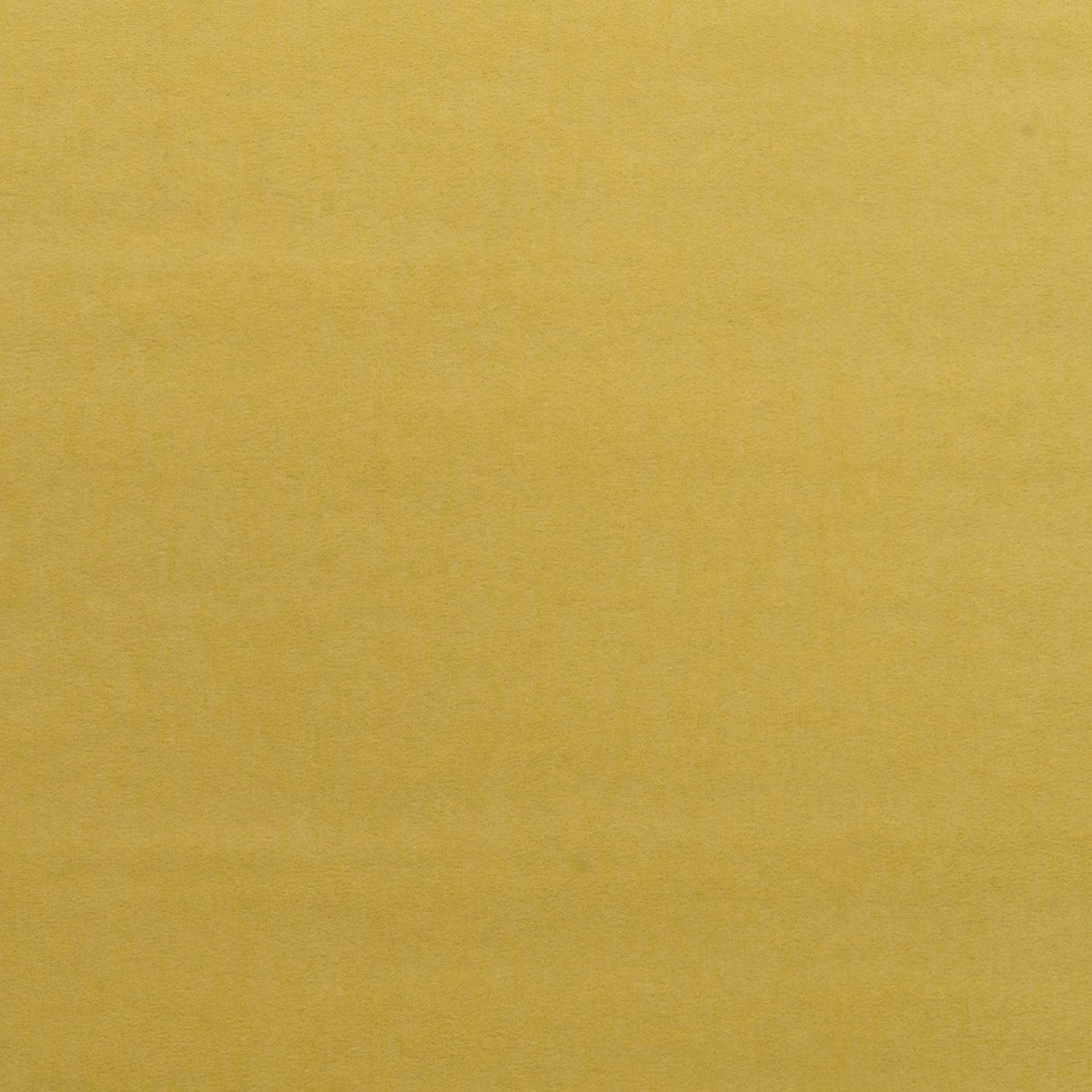 Close-up of mustard-gold velvet with a softly brushed, subtly shaded surface