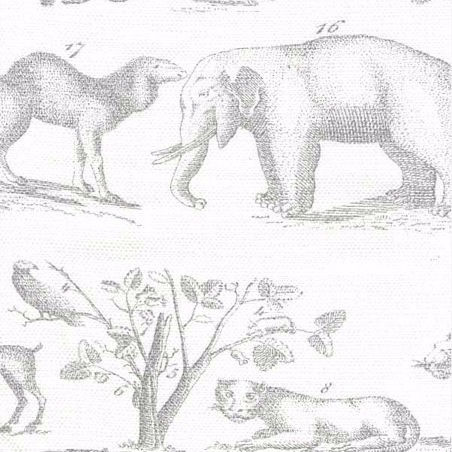 Cool grey fabric with engraved elephant, monkey, birds and botanical branches