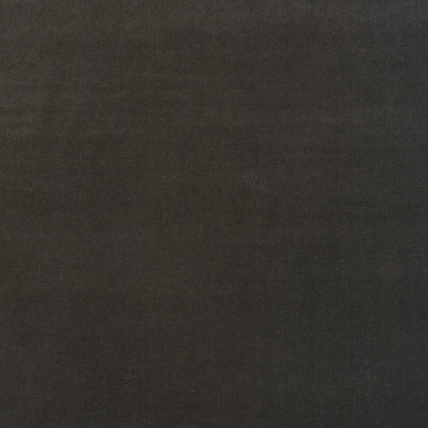 Close-up of plain deep charcoal cotton velvet showing a soft, subtly varied nap
