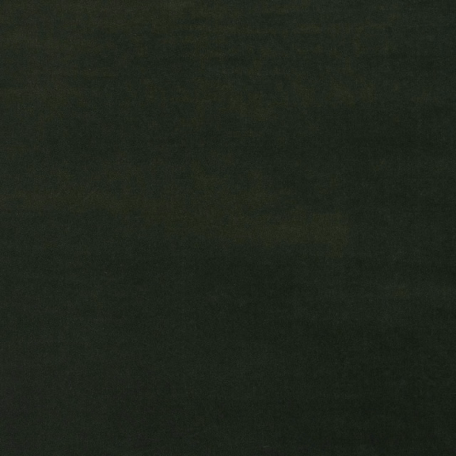 Deep forest-green velvet with a dark, softly reflective pile