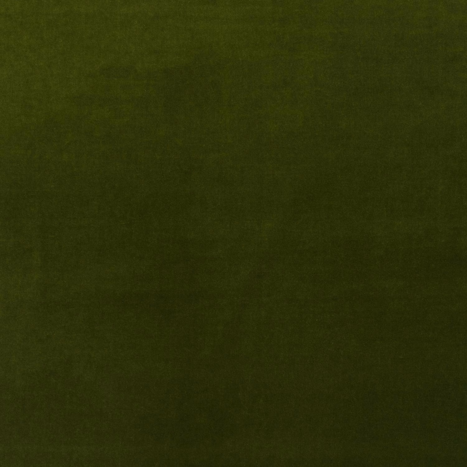 Deep ivy green velvet swatch showing a plain pile and subtle nap variation