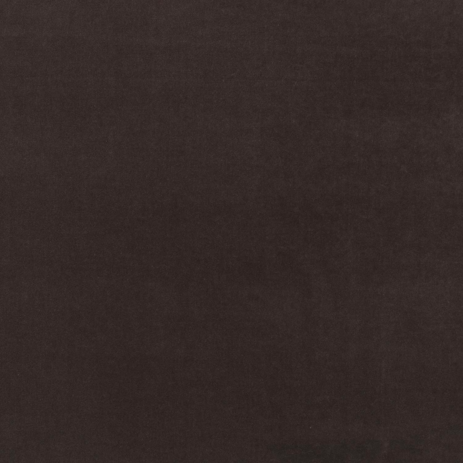 Deep mocha brown velvet with a softly mottled, light-catching pile