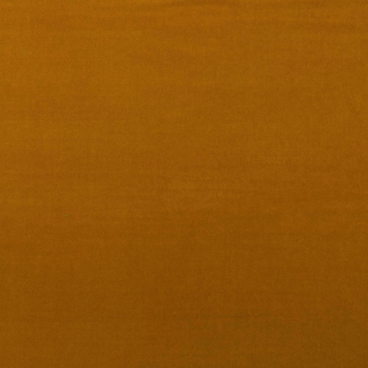 Warm mustard velvet swatch with an even, softly lustrous pile