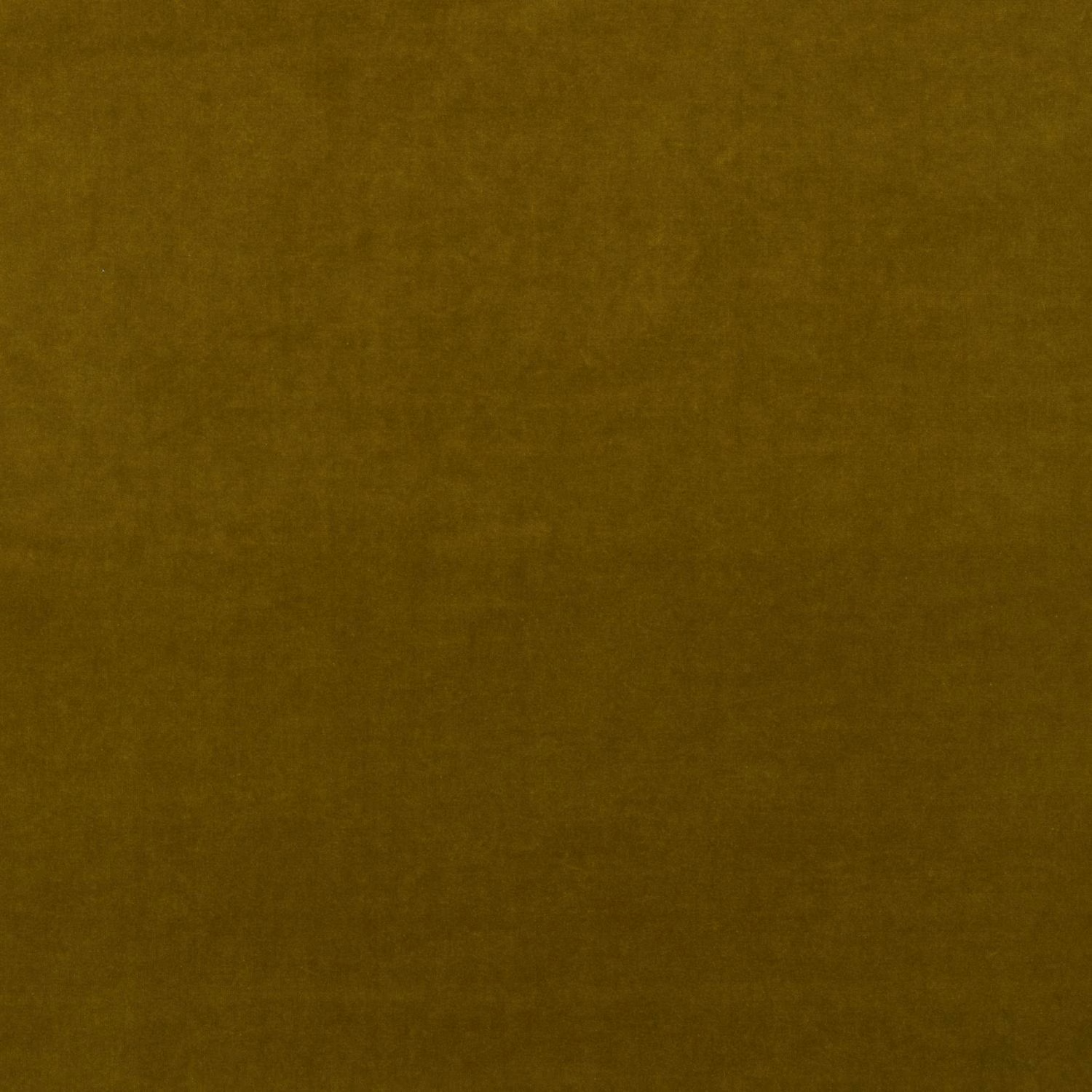 Deep olive velvet with a subtle directional nap and brown-green shading