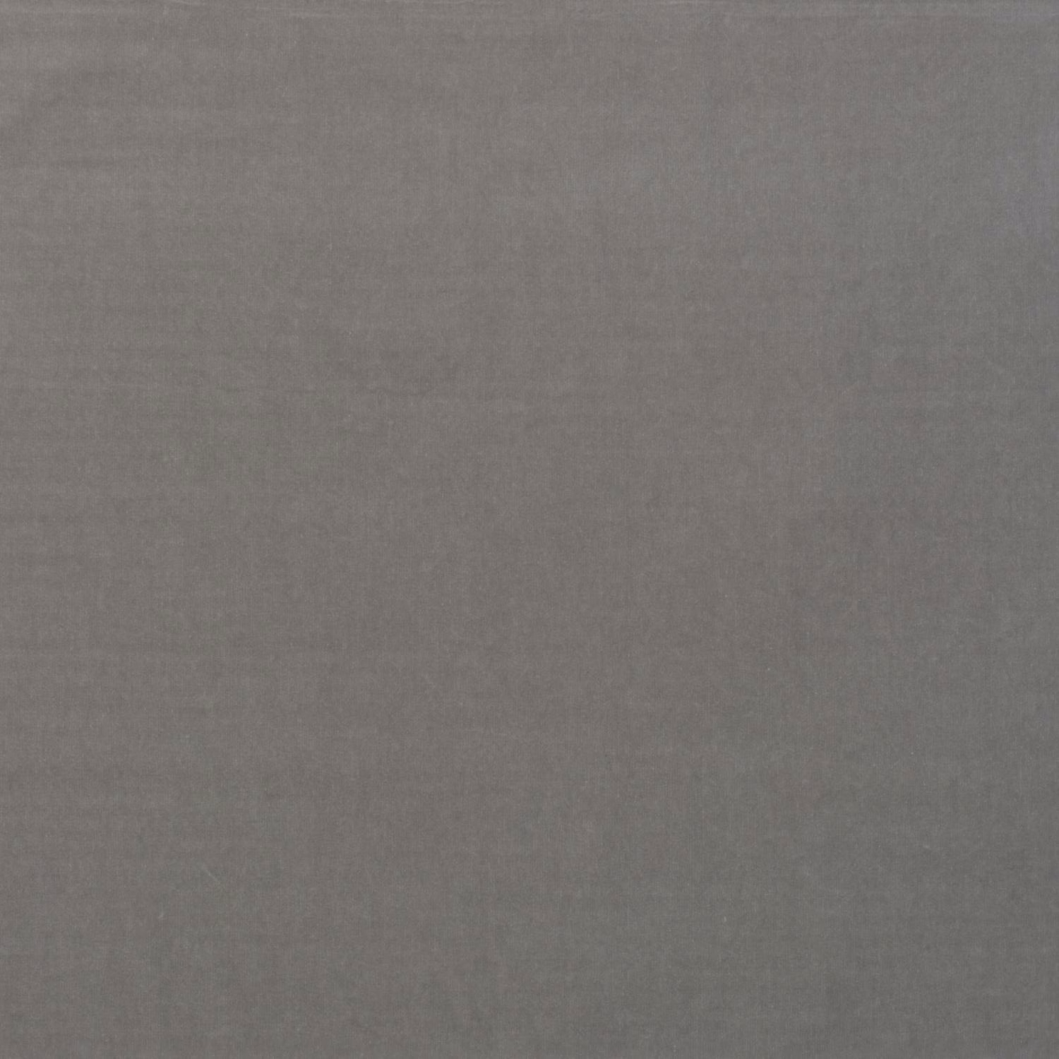 Close-up of plain Zinc grey velvet with a soft, subtly shifting pile