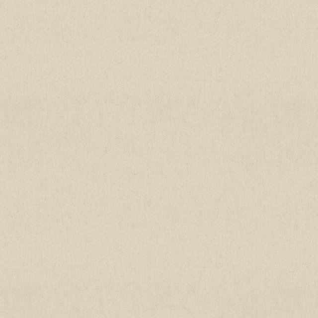 Warm ecru plain weave with a softly brushed vertical grain