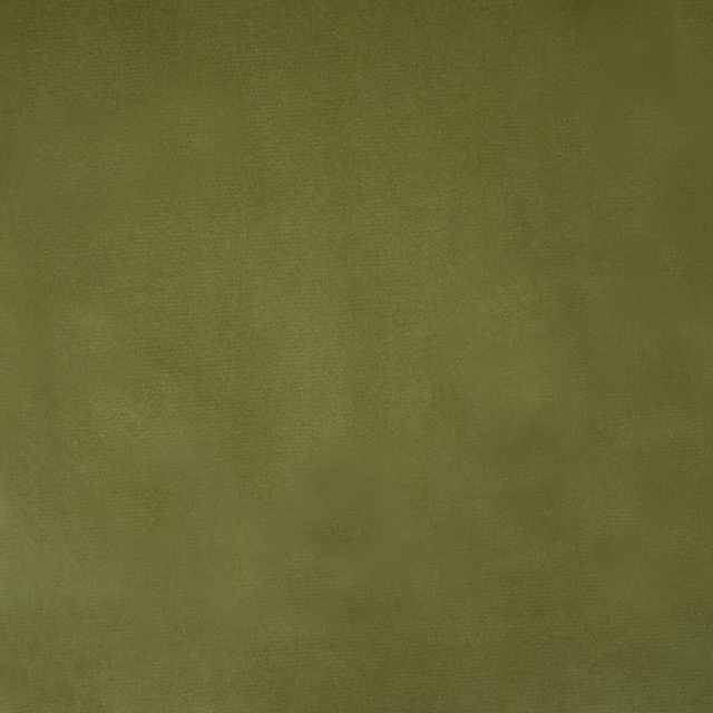 Muted olive green plain fabric swatch with a fine woven texture