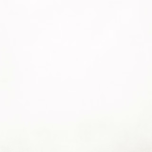 Very pale pearl-white plain fabric with a smooth, even finish