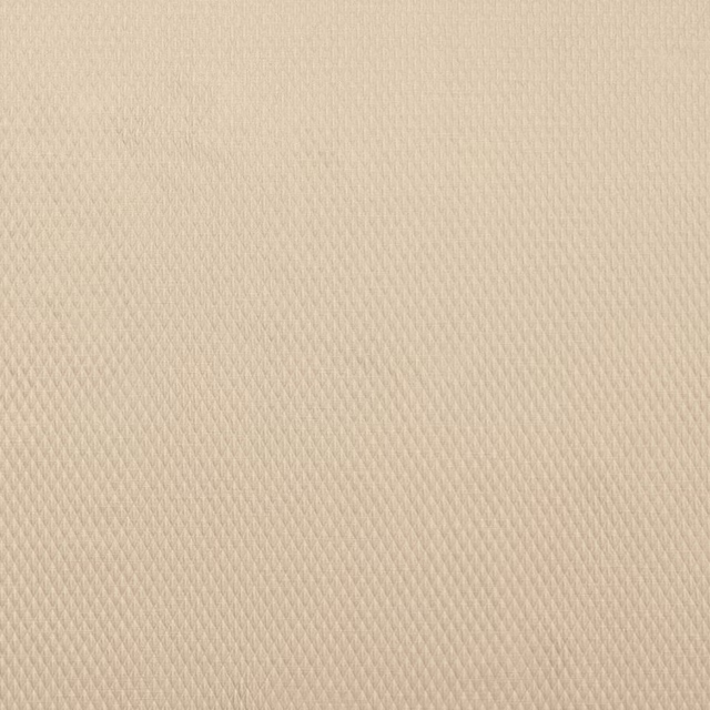 Soft champagne cream woven fabric with fine small-scale texture