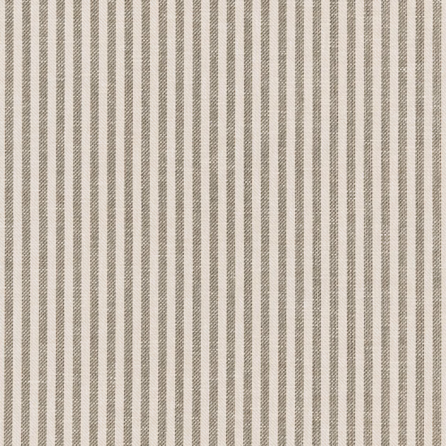 Cassiech fabric