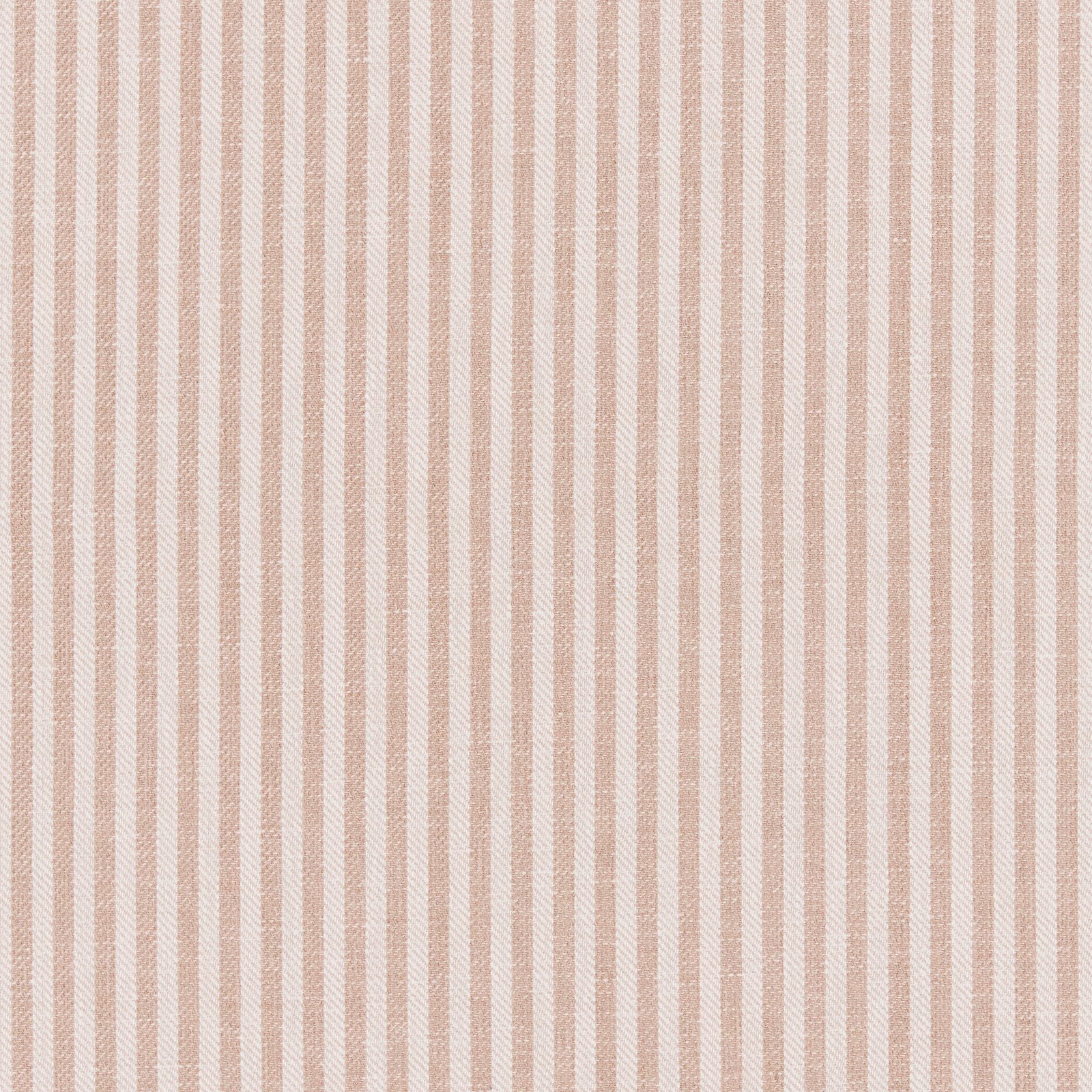 Cassiedu fabric
