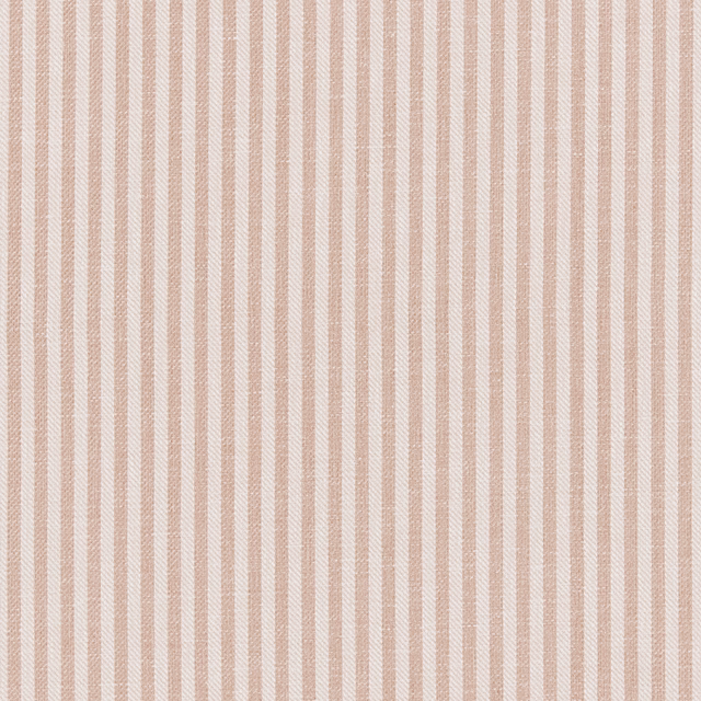 Cassiedu fabric