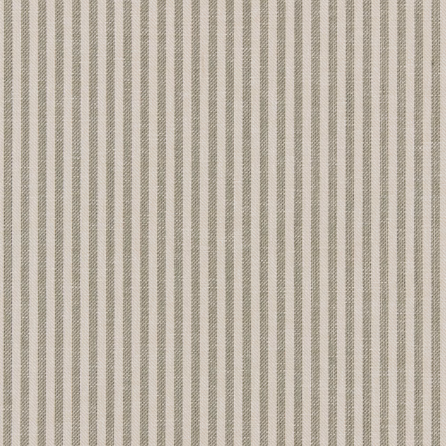 Cassiesa fabric