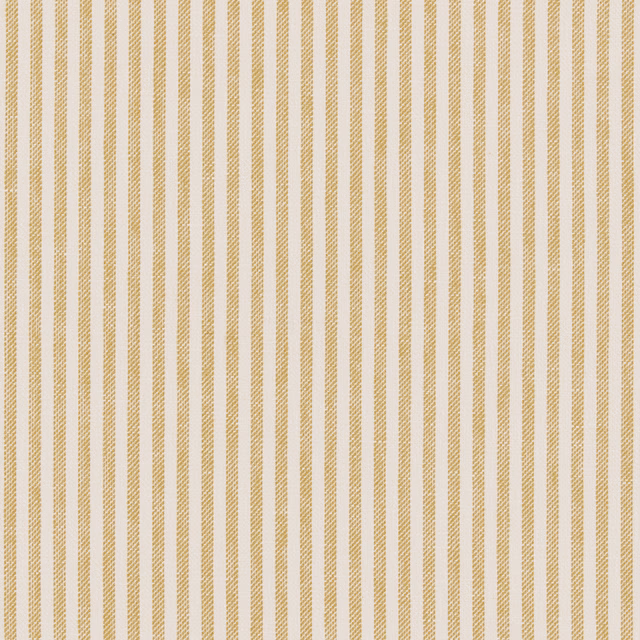 Cassiesu fabric
