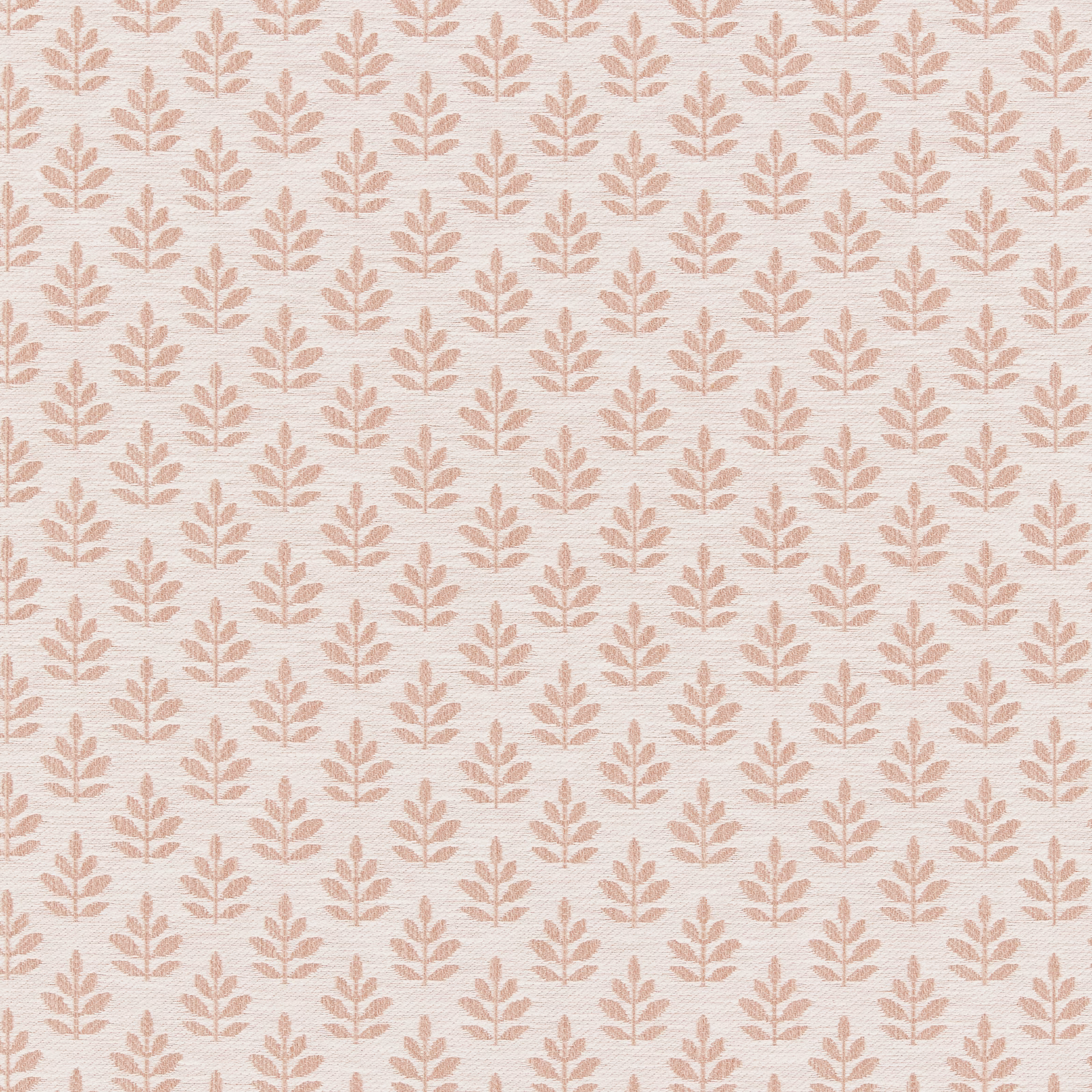 Winniedu fabric