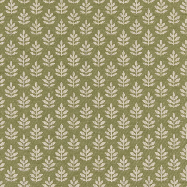 Winnieol fabric