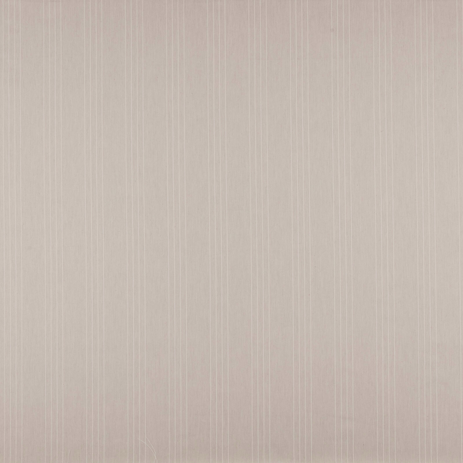 Soft ecru striped fabric with fine vertical pinlines and a matte weave