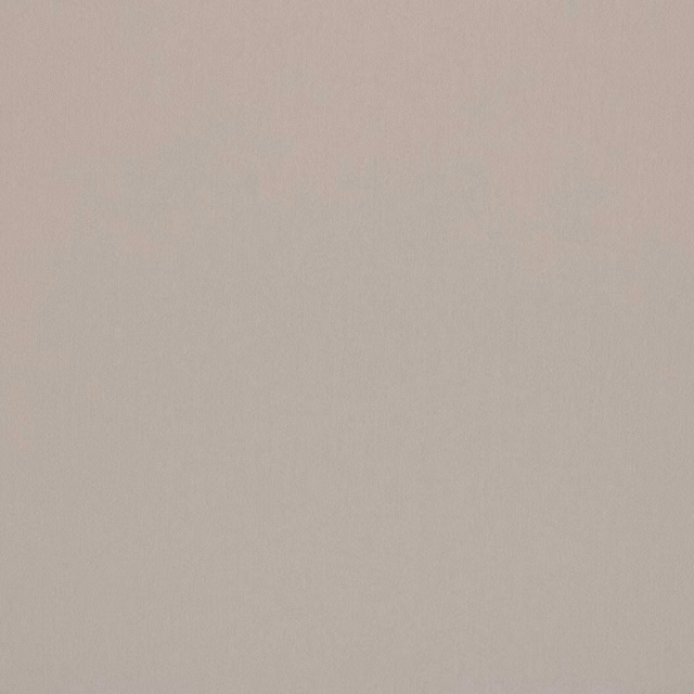 Pale birch beige plain fabric swatch with a smooth fine weave