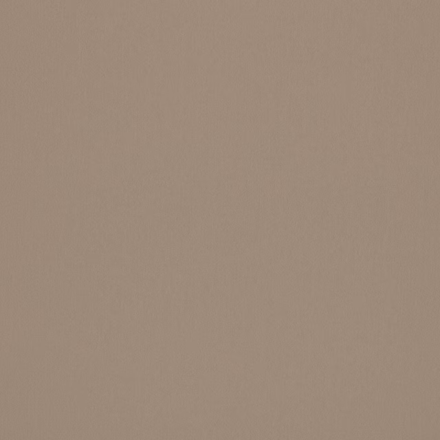 Flat swatch of warm putty beige plain woven fabric