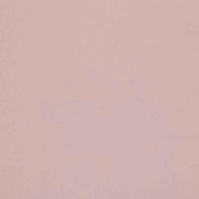 Soft shell pink plain fabric swatch with a smooth matte finish