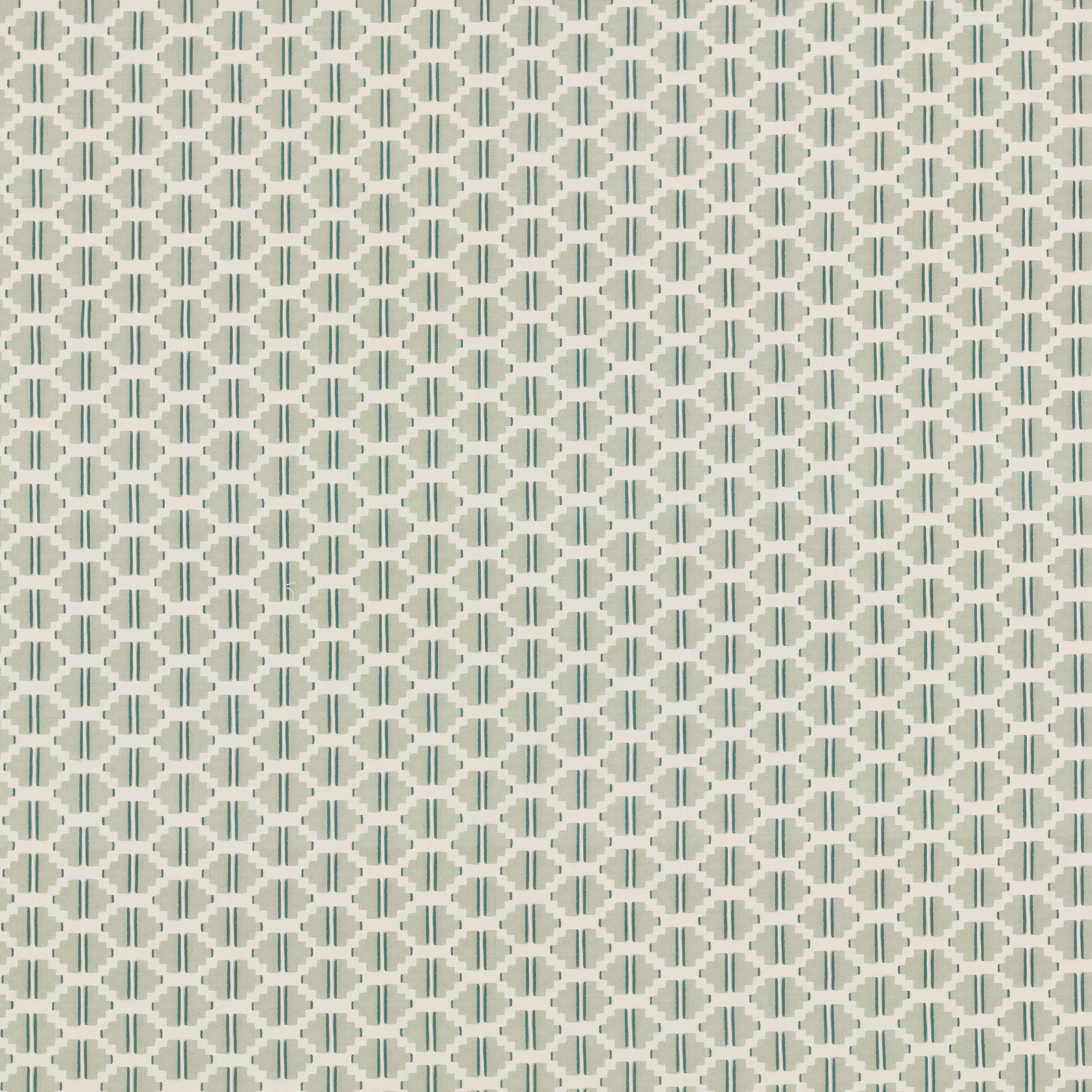 Rayeal fabric