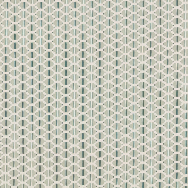Rayeal fabric