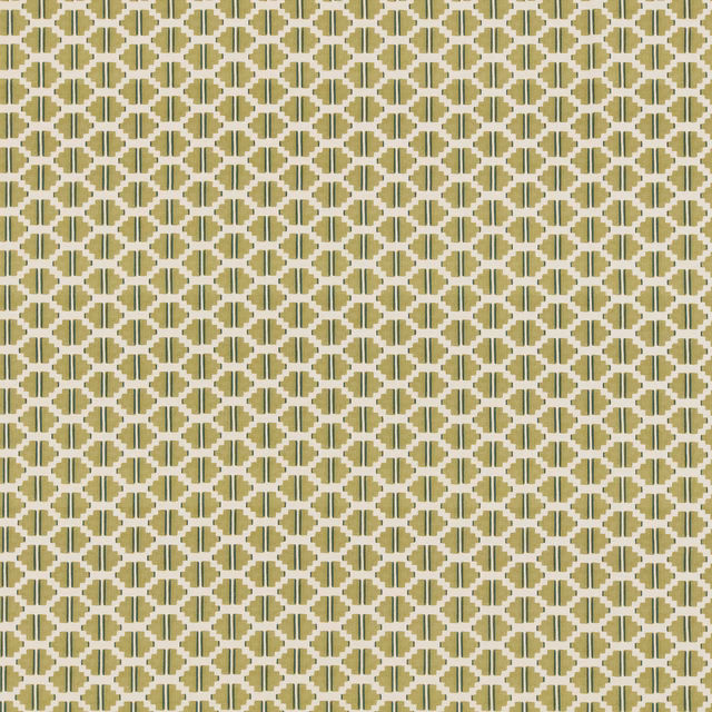 Rayepi fabric