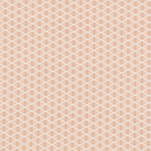 Rayepl fabric