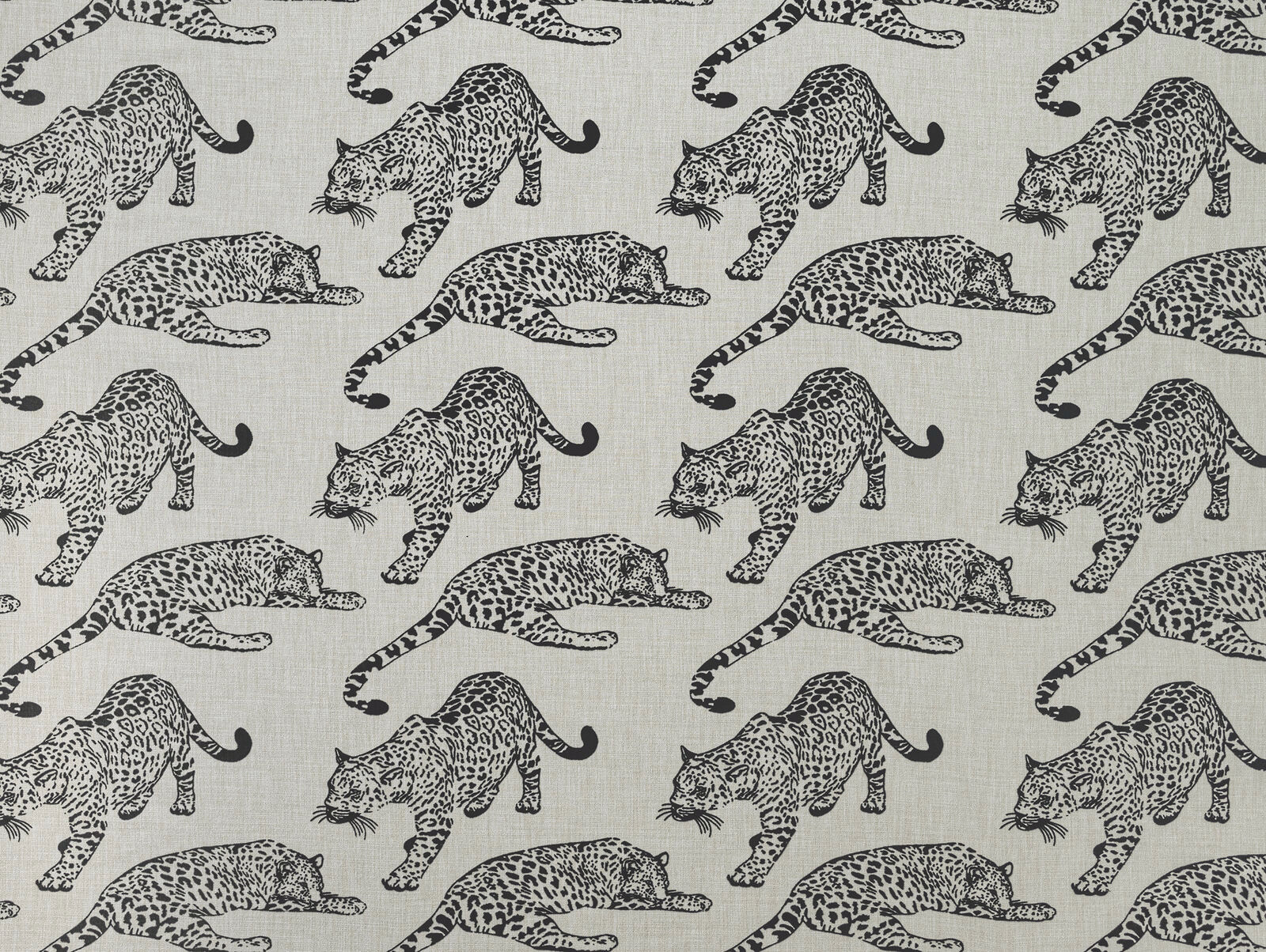 Ivory fabric swatch with ebony leopard print in a large repeating pattern