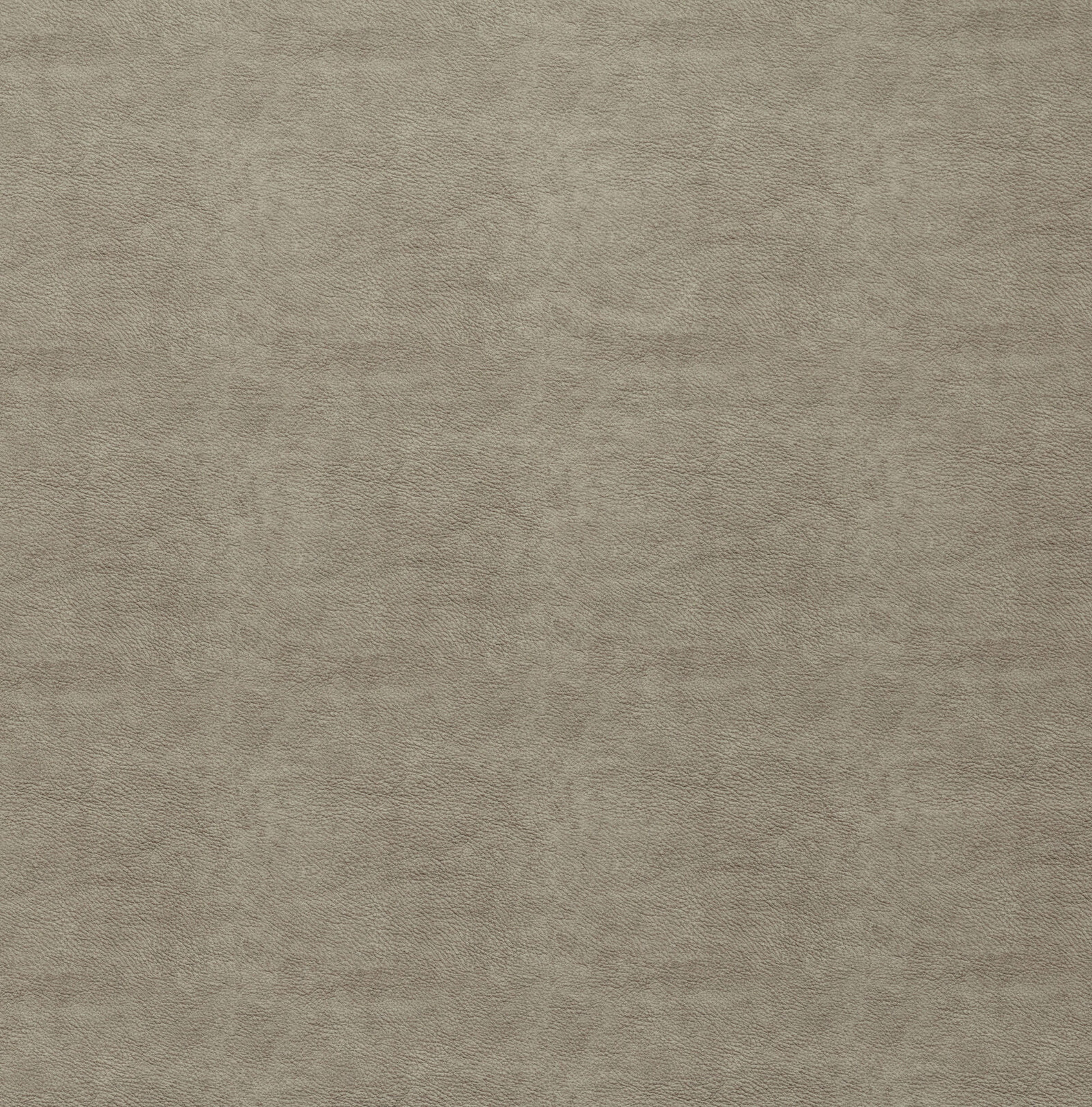 Soft oat-taupe plain woven fabric with a fine matte texture