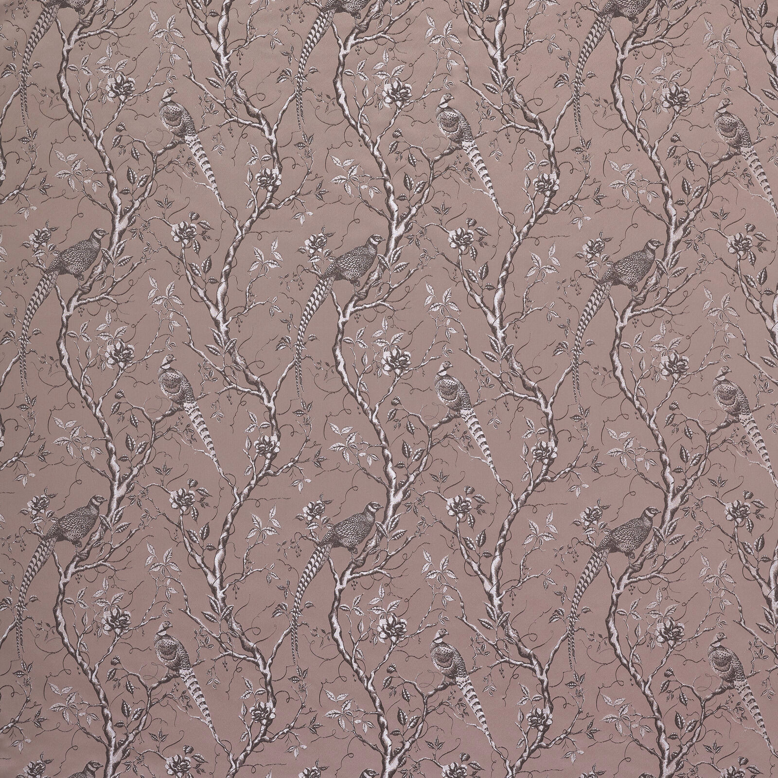 Taupe fabric swatch with birds, branches and floral botanical pattern
