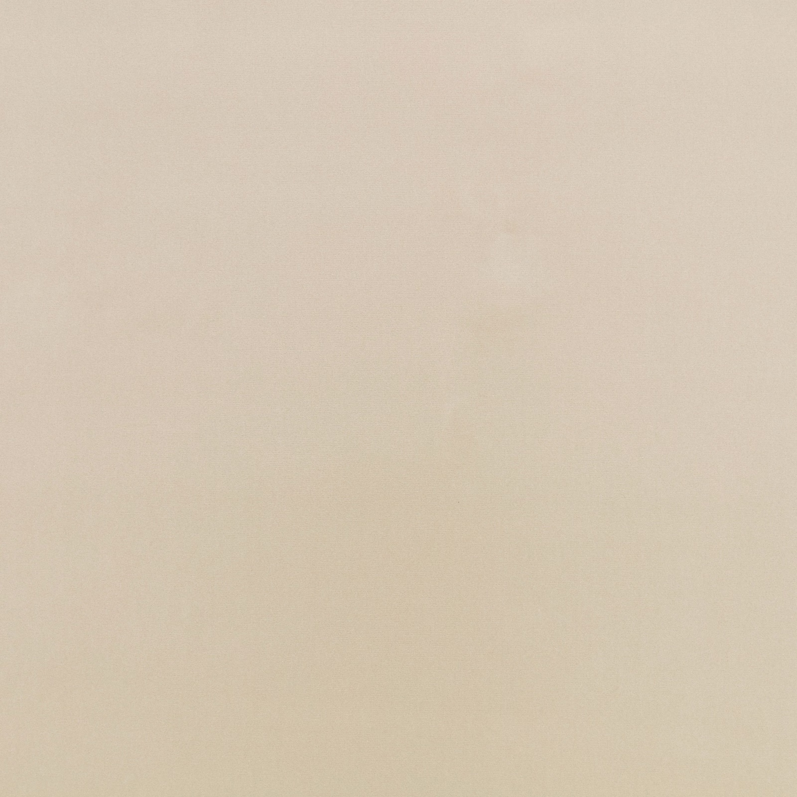 Pale pampas-beige fabric with subtle cloudy tonal variation across its surface