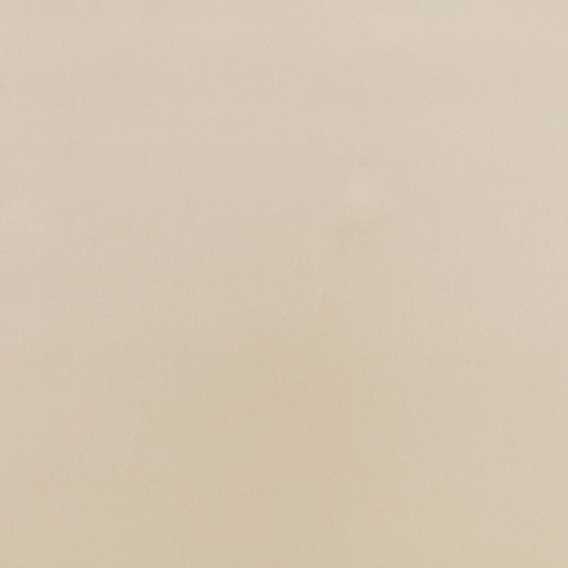 Pale pampas-beige fabric with subtle cloudy tonal variation across its surface