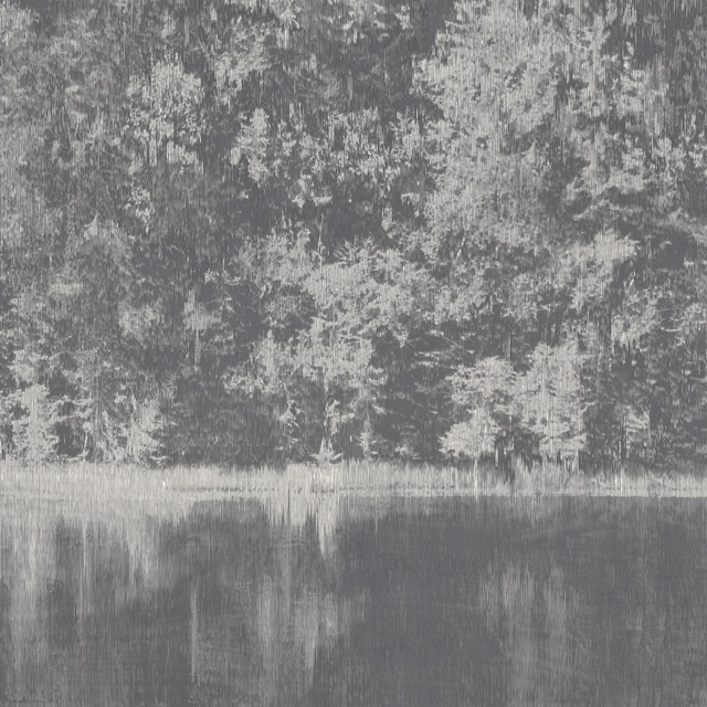 Cool carbon-grey woodland mural with pale treetops and blurred vertical water reflections