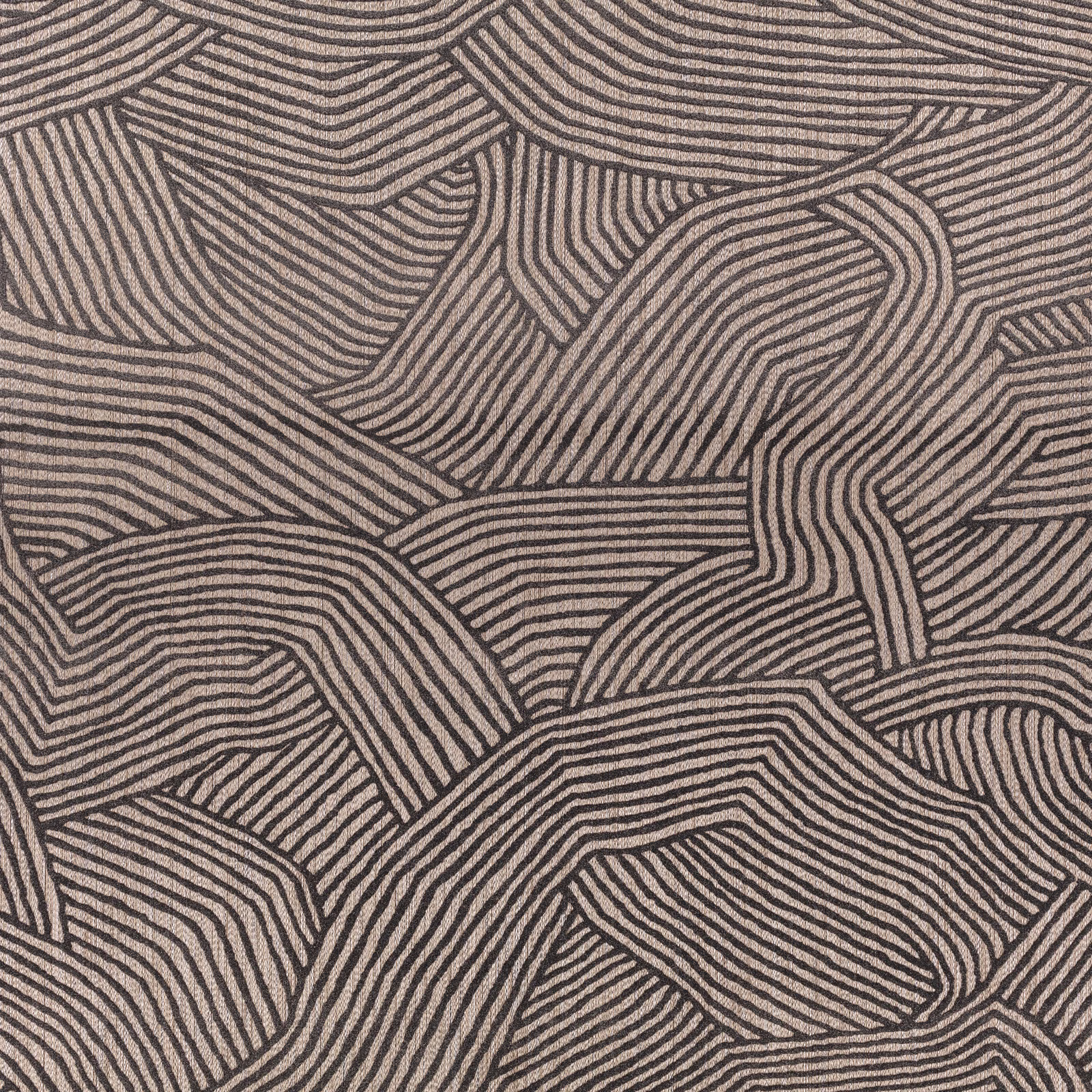 Charcoal contour lines forming organic panels on a warm taupe wallpaper ground