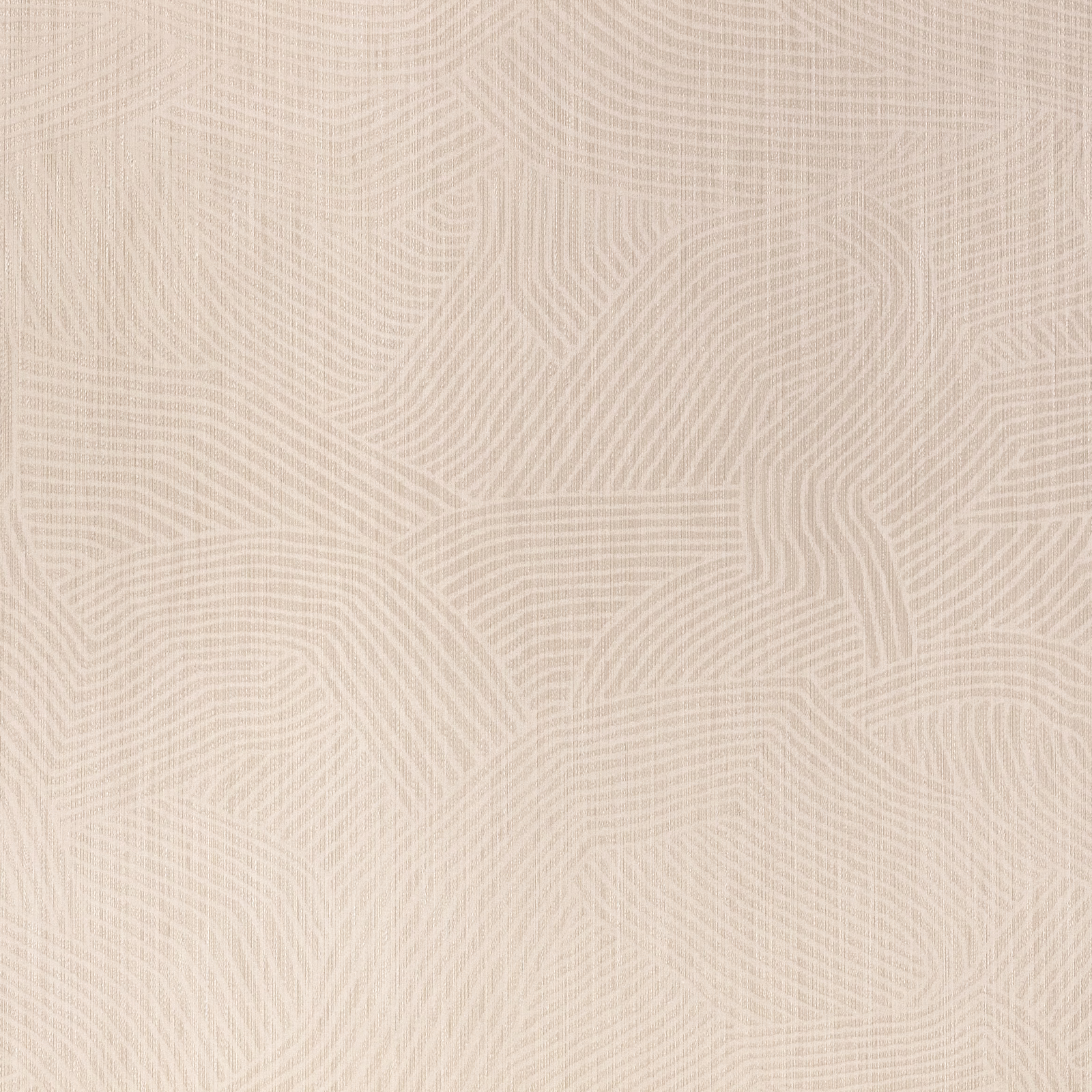 Pale jicama beige wallpaper with fine ivory contour lines forming abstract flowing shapes