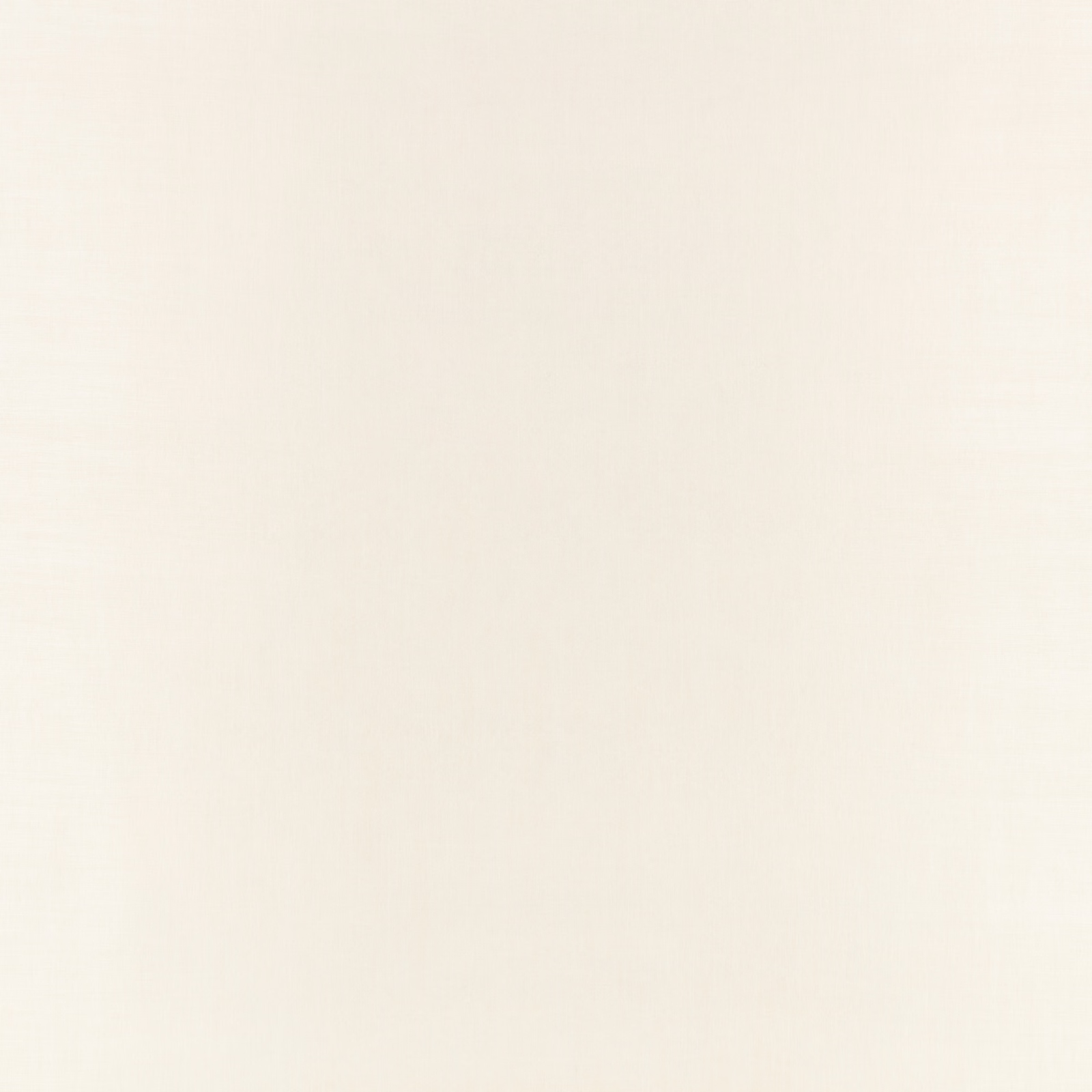 Near-white Whitewash wallpaper with barely visible vertical texture and softly varied surface