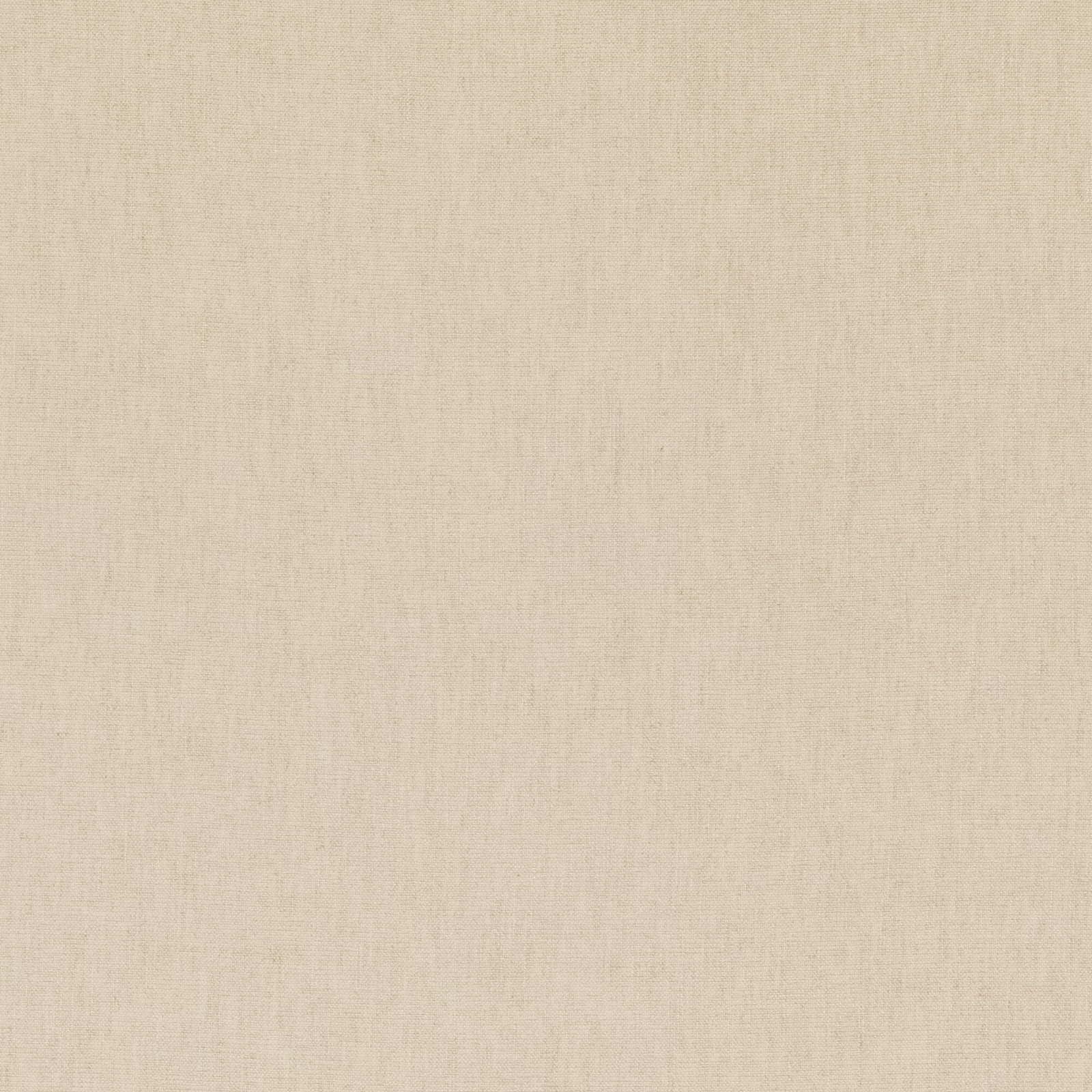 Pale parchment-beige woven textile with fine vertical grain and softly mottled surface