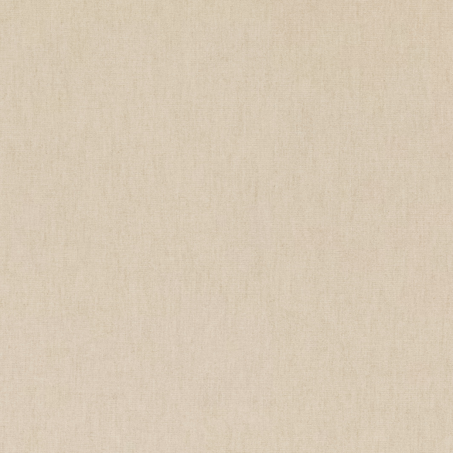 Pale parchment-beige woven textile with fine vertical grain and softly mottled surface