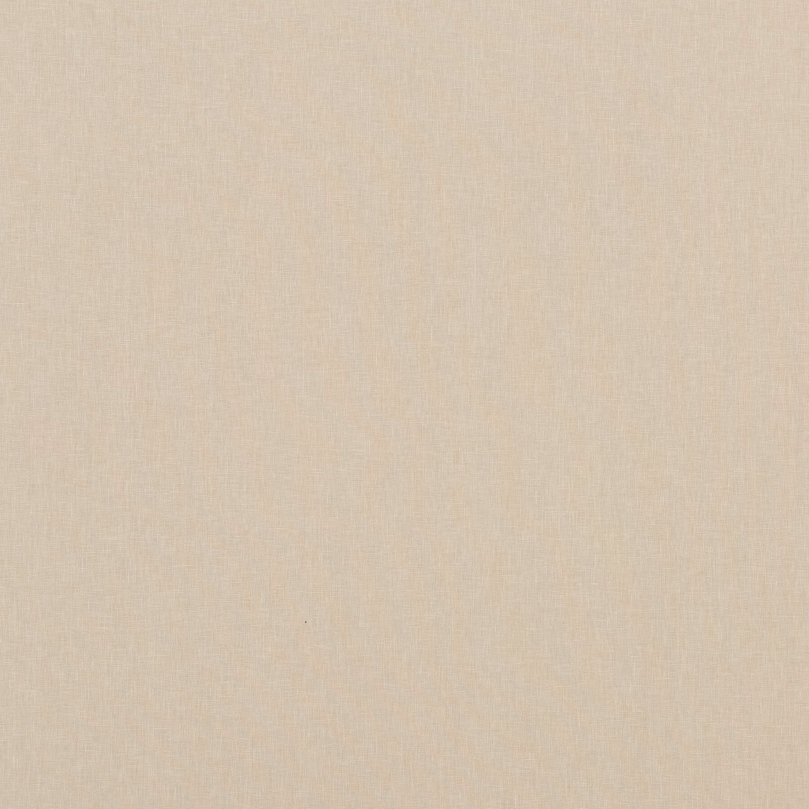 Warm oatmeal plain weave showing a fine, softly textured surface