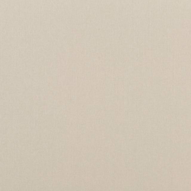 Warm parchment cream plain weave with fine softly mottled texture