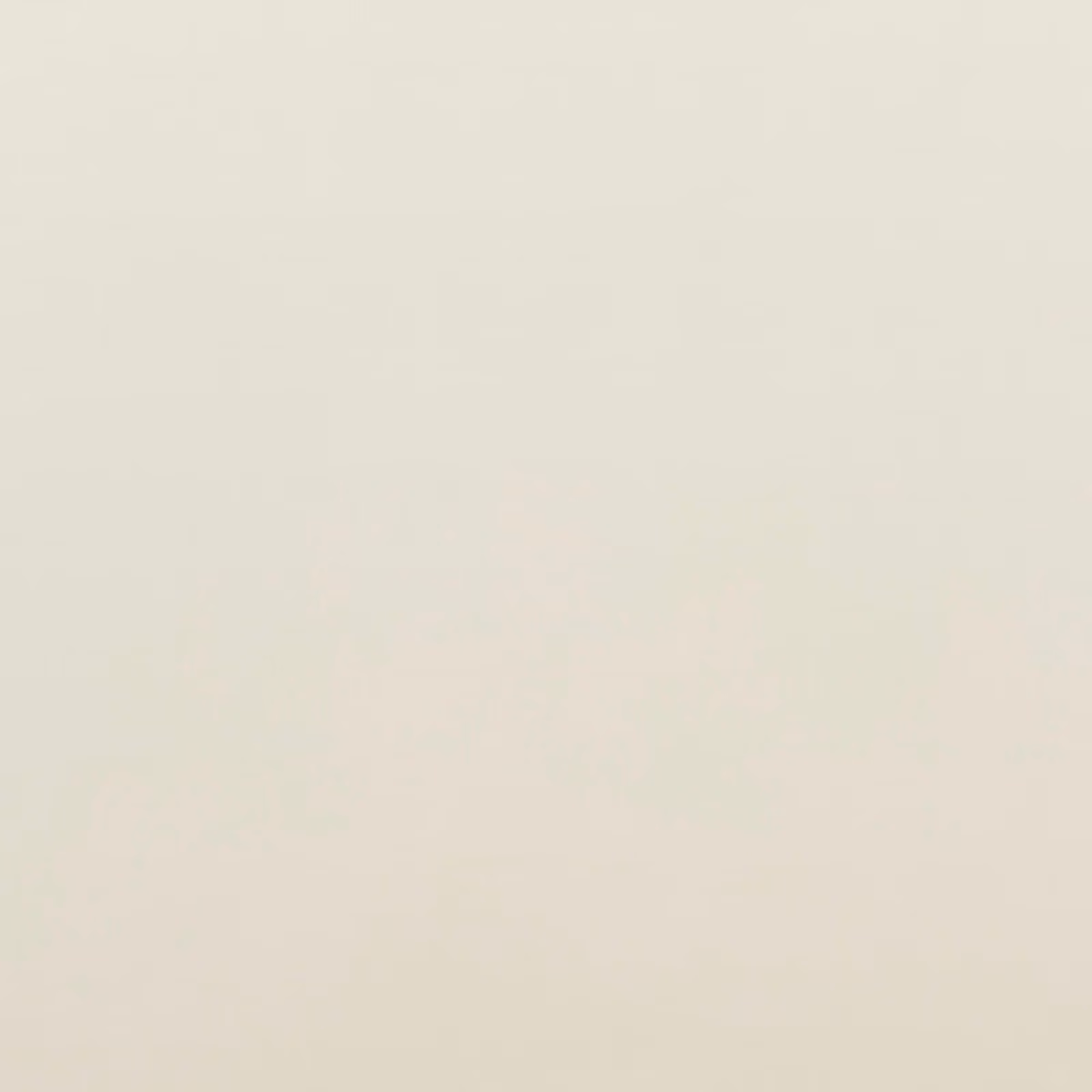 Soft ivory velvet with a barely mottled nap and quiet tonal sheen