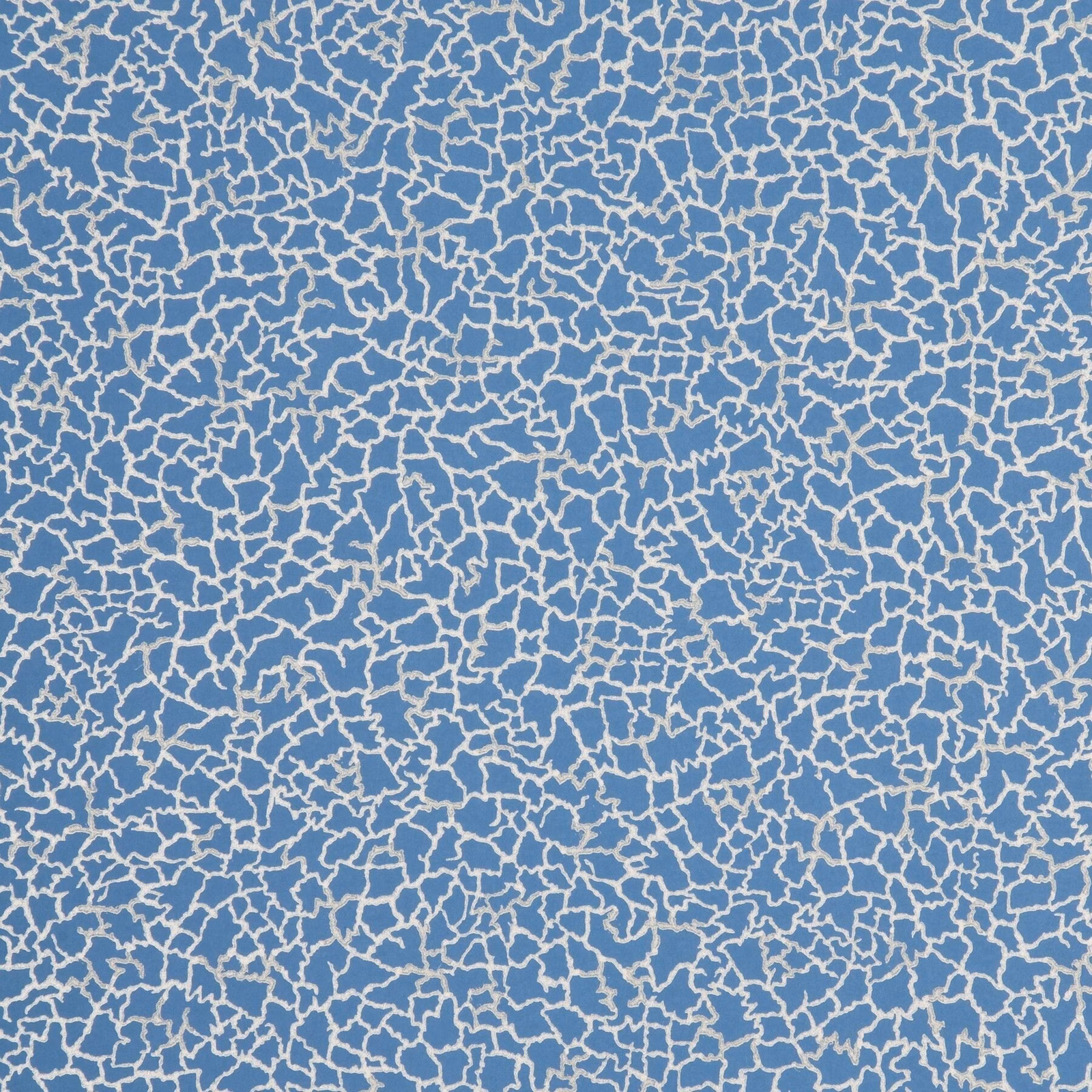 Cobalt blue wallpaper with a dense ivory, branching crackle pattern